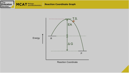 Biology - Kinectics and the Reaction Coordinate Graph