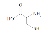 Amino Acid Cysteine